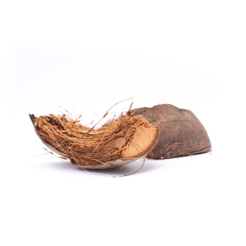 Coconut-husk-1-min-800x800