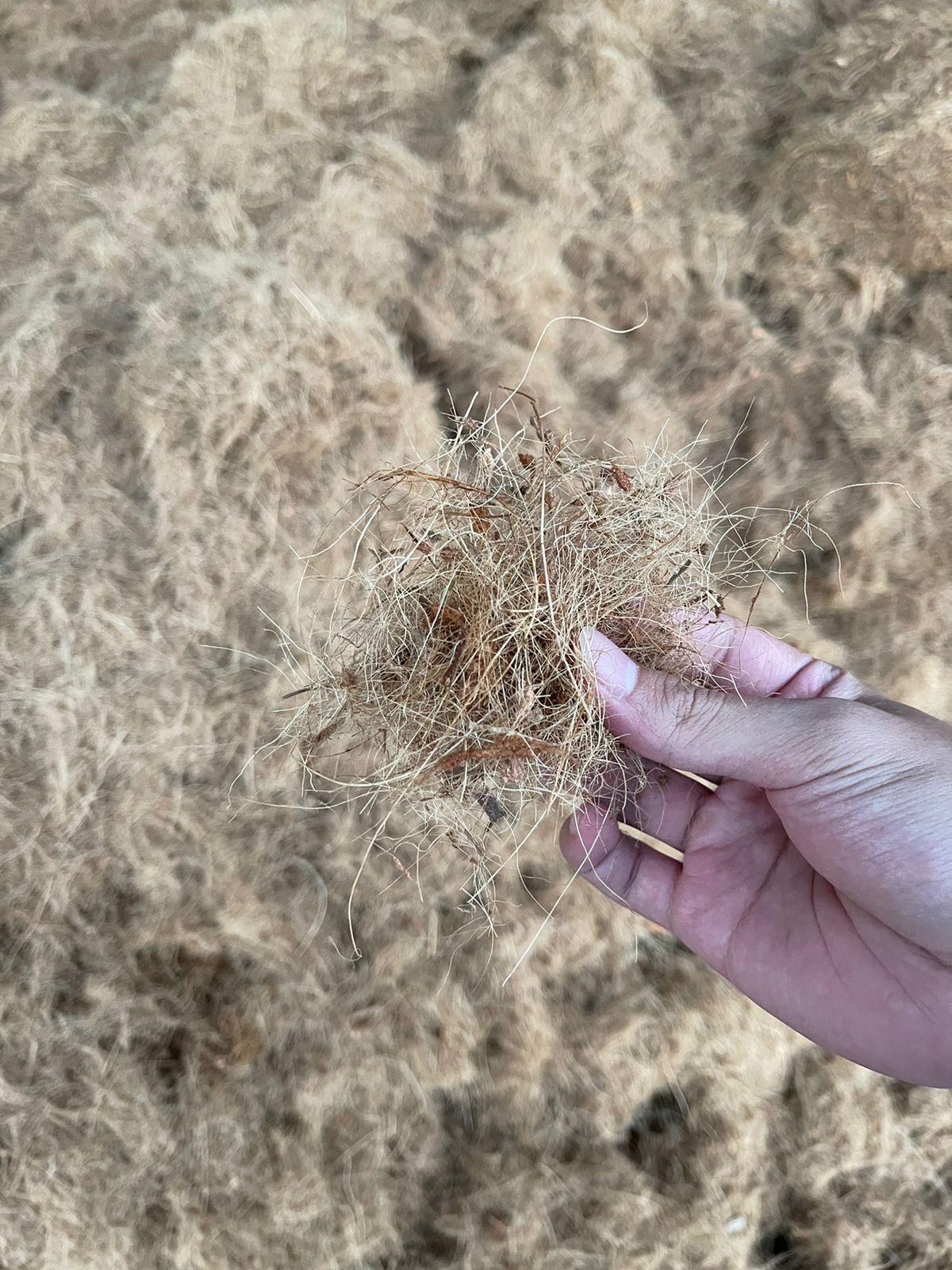 Baby Fiber